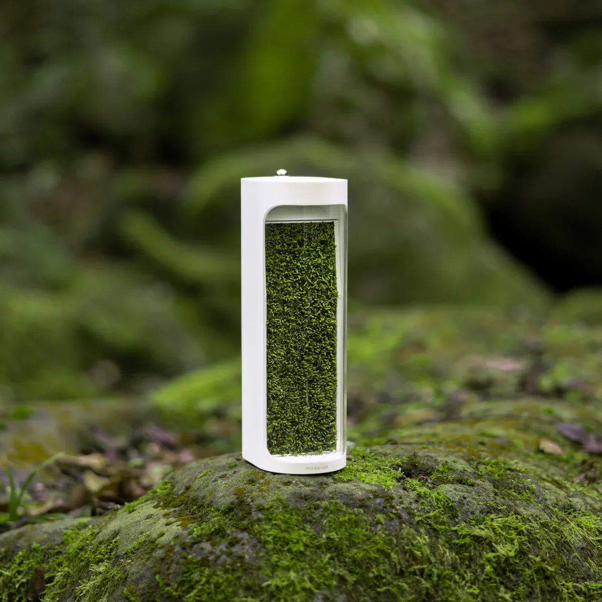Moss Air - Living Moss Humidifier + Filter- White
