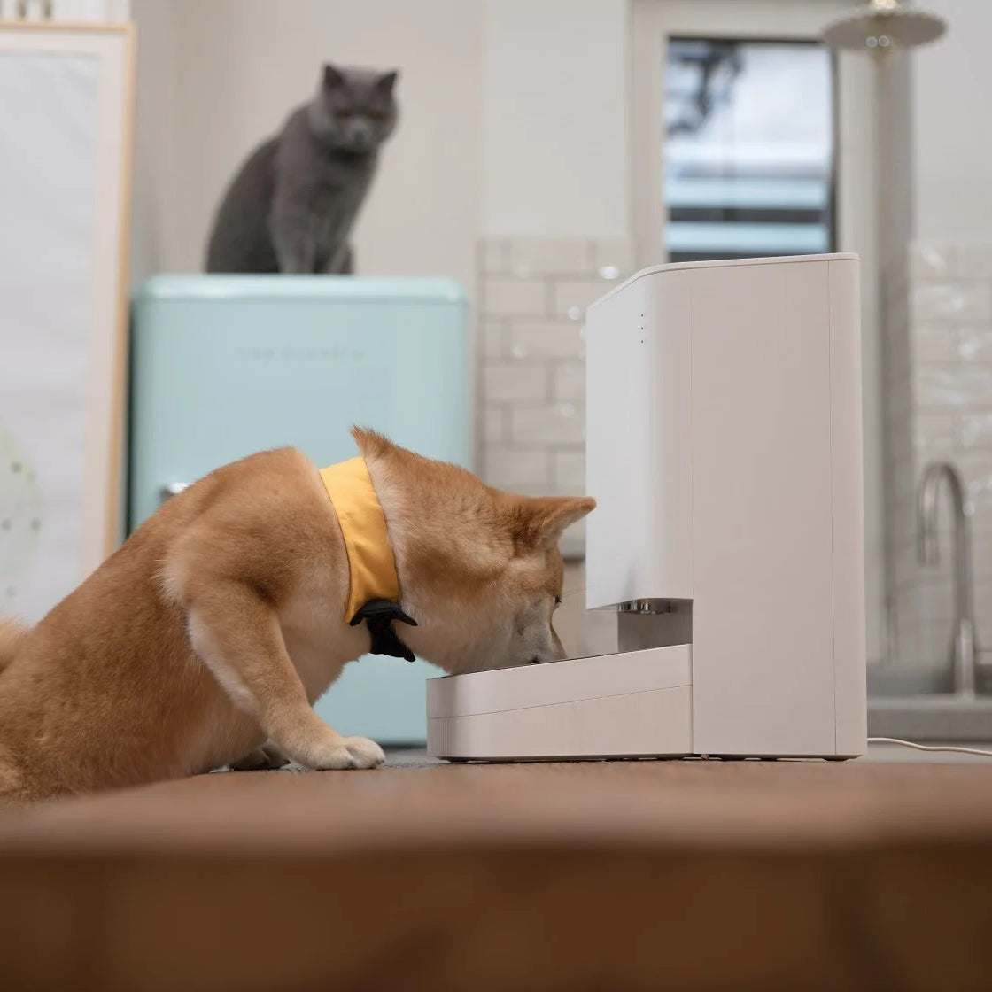 Xiaomi Smart Pet Food Feeder 2 UK - BHR9028GB