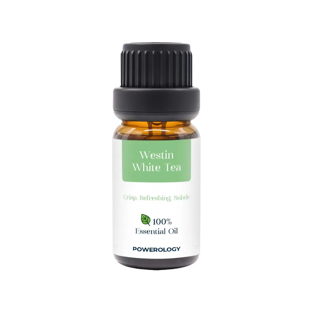 Powerology Signature Scent Premium Fragrance Oil - PSM005