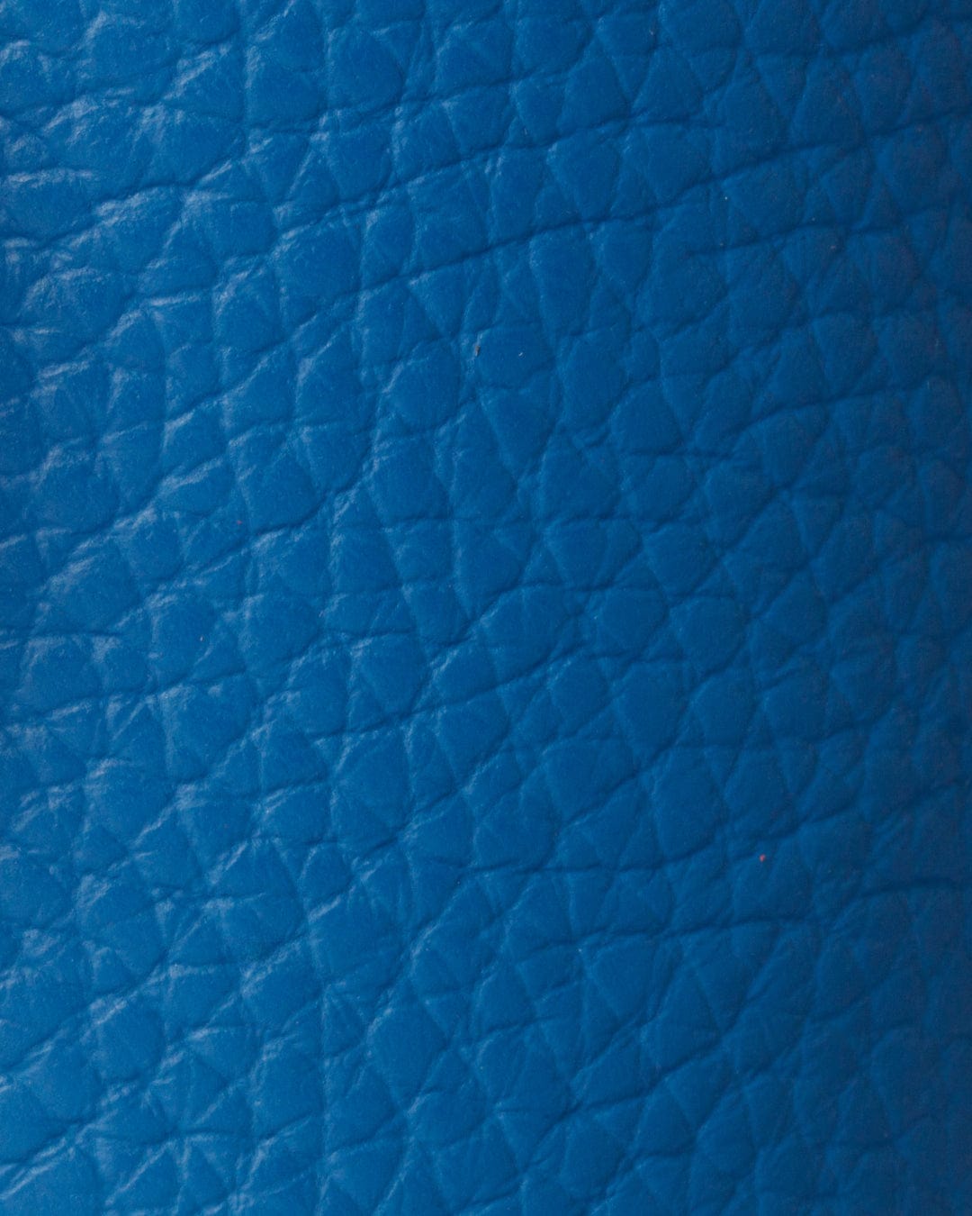 Fressko Leather Sleeve for Bino - Capri