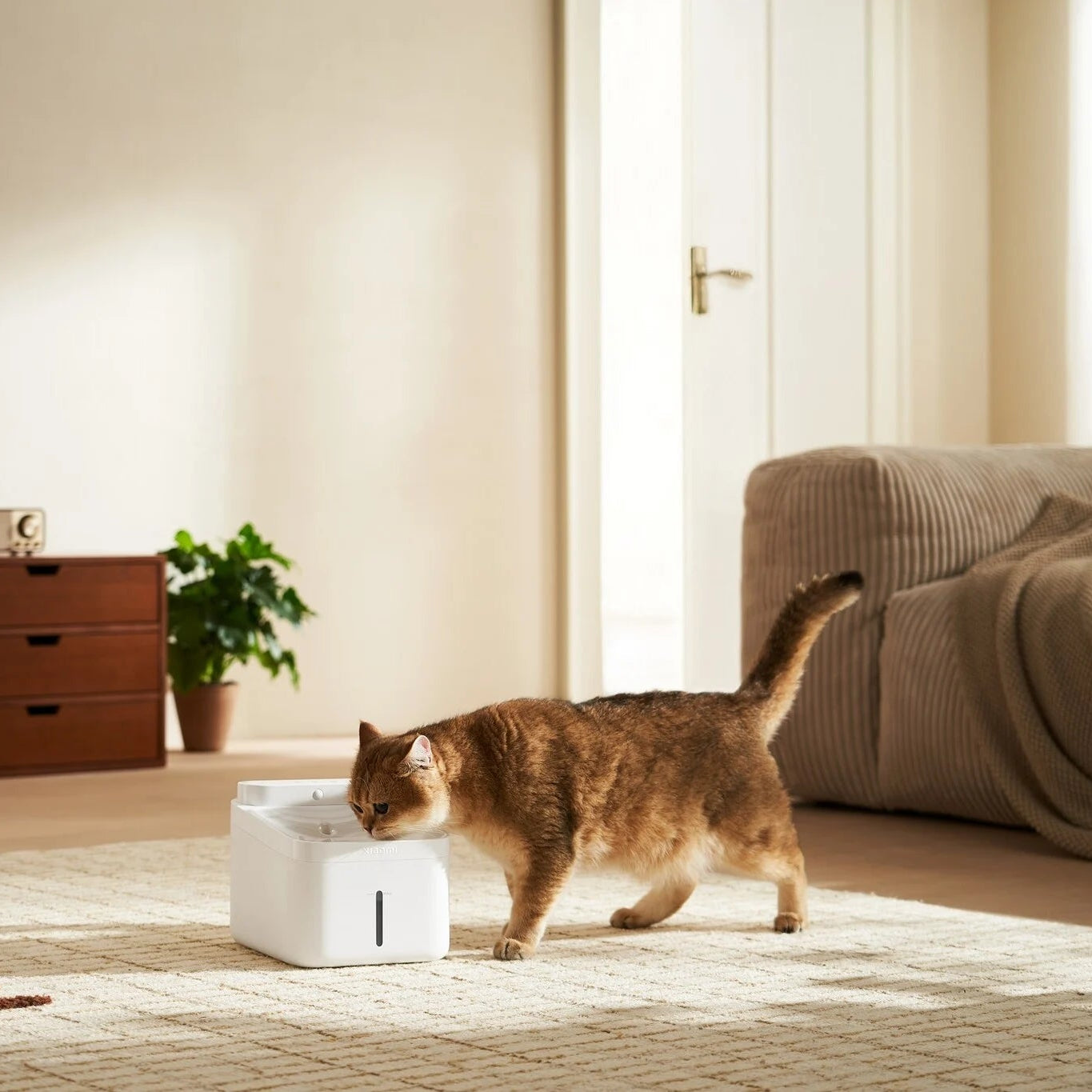 Xiaomi Smart Pet Fountain 2 - BHR9485GL